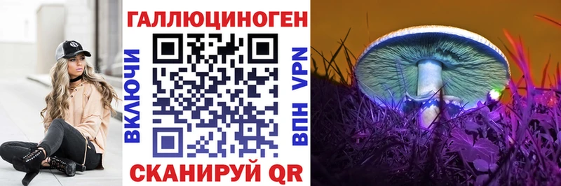 shop Telegram  наркотики  Верхняя Салда  Галлюциногенные грибы Psilocybine cubensis 
